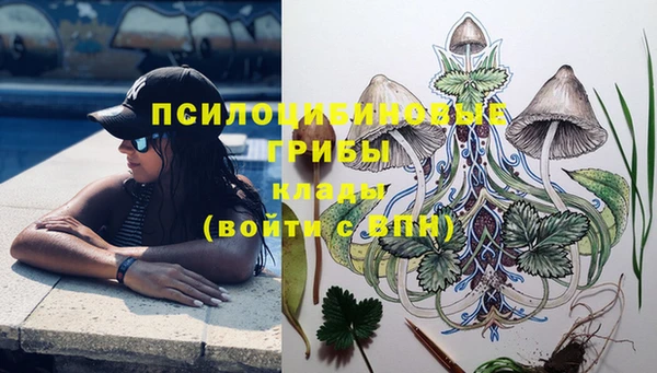 соль ск Бородино