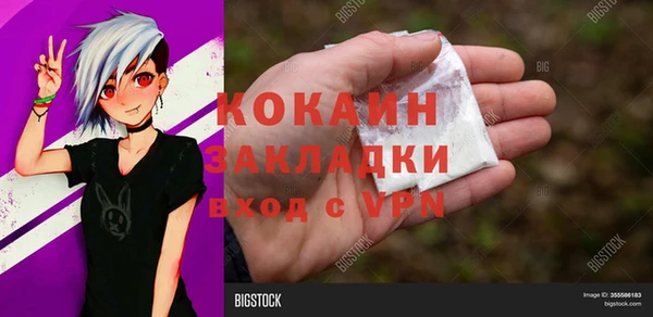 соль ск Бородино