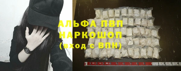 индика Бронницы
