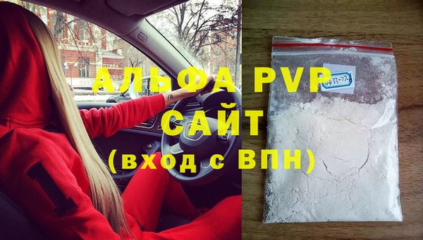 индика Бронницы