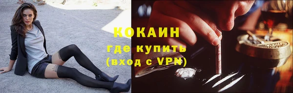 соль ск Бородино