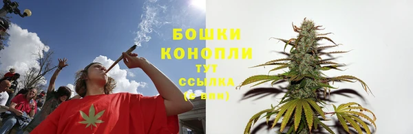 соль ск Бородино