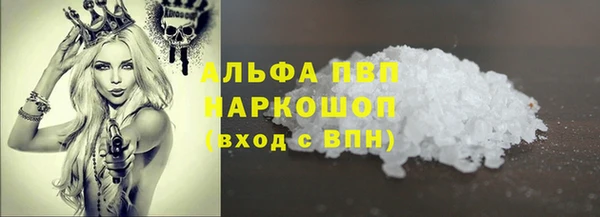 индика Бронницы