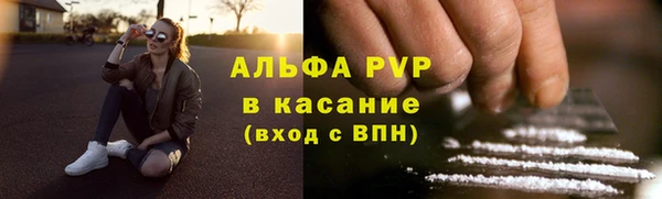 индика Бронницы