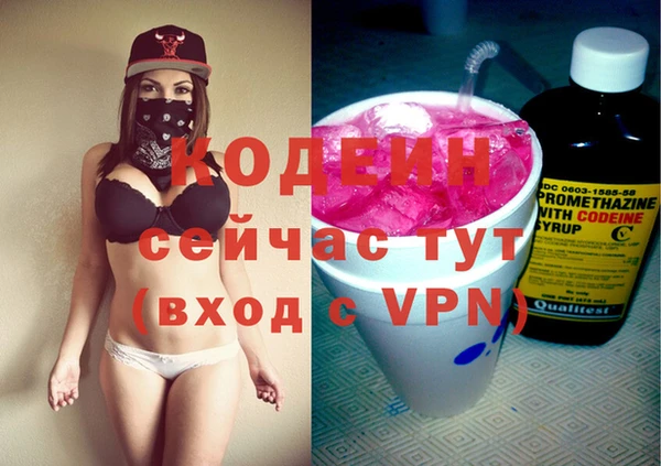 индика Бронницы
