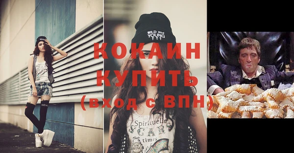 индика Бронницы