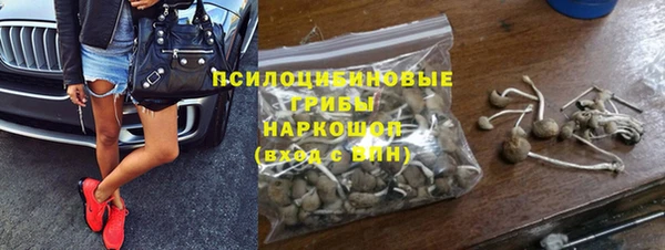 индика Бронницы
