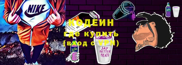 индика Бронницы