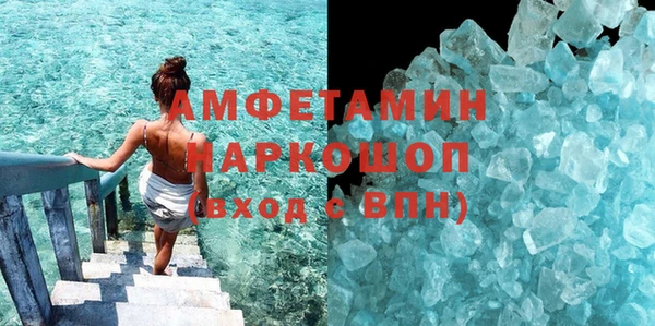 индика Бронницы