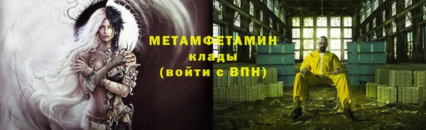 индика Бронницы