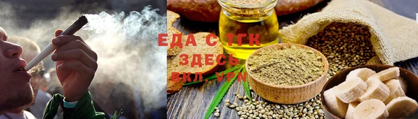 индика Бронницы
