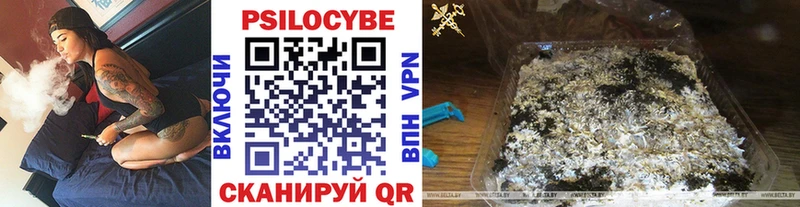хочу   Нытва  Псилоцибиновые грибы ЛСД 